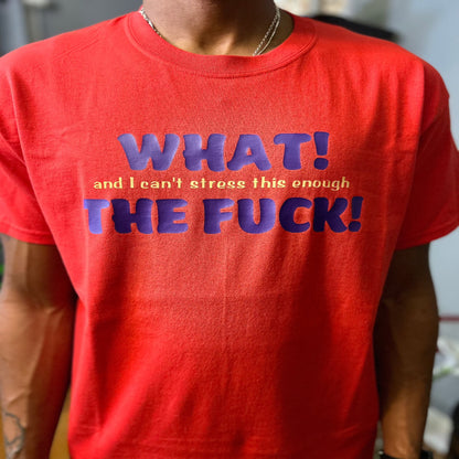 "What (And I can't stress this enough) The F" Unisex T-shirt/Hoodie (Additional Colors Avail.)