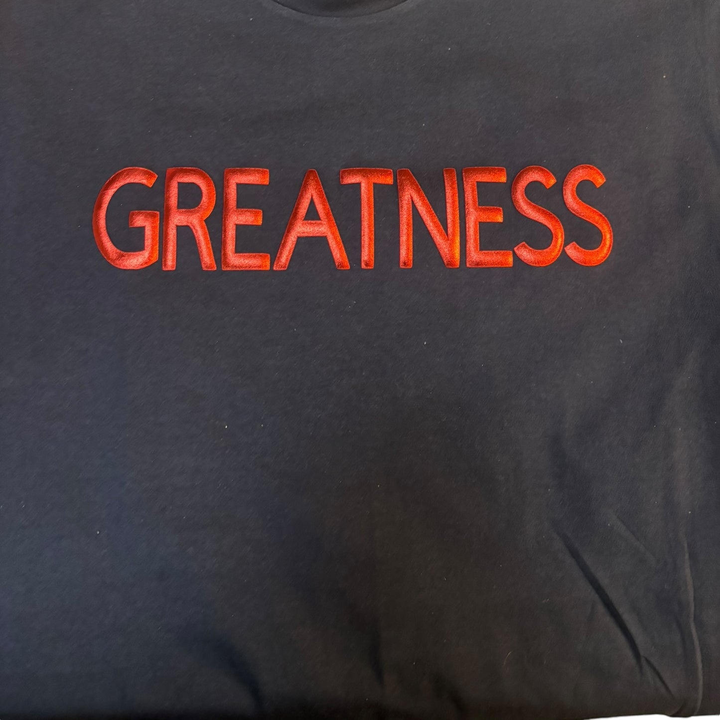 “GREATNESS” Unisex T-shirt/Hoodie (Available in Multiple colors)