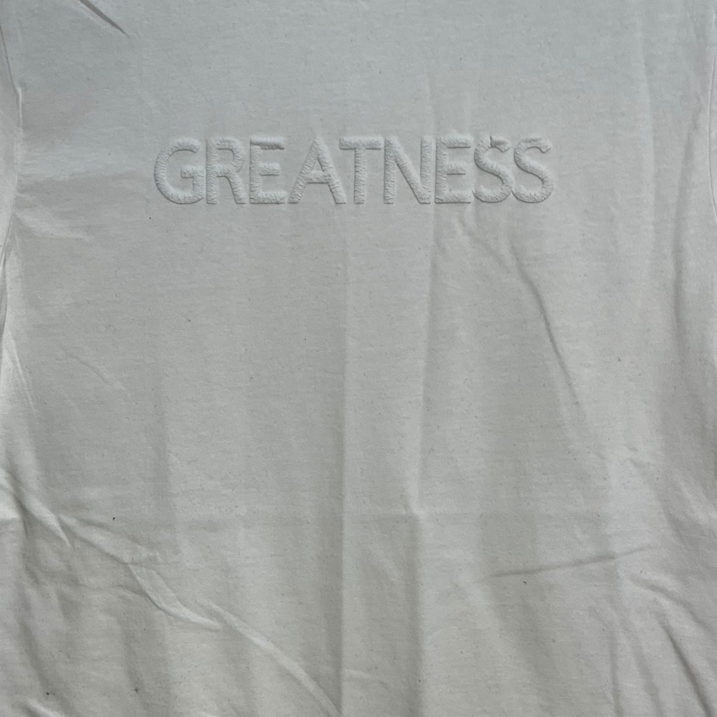 “GREATNESS” Unisex T-shirt/Hoodie (Available in Multiple colors)