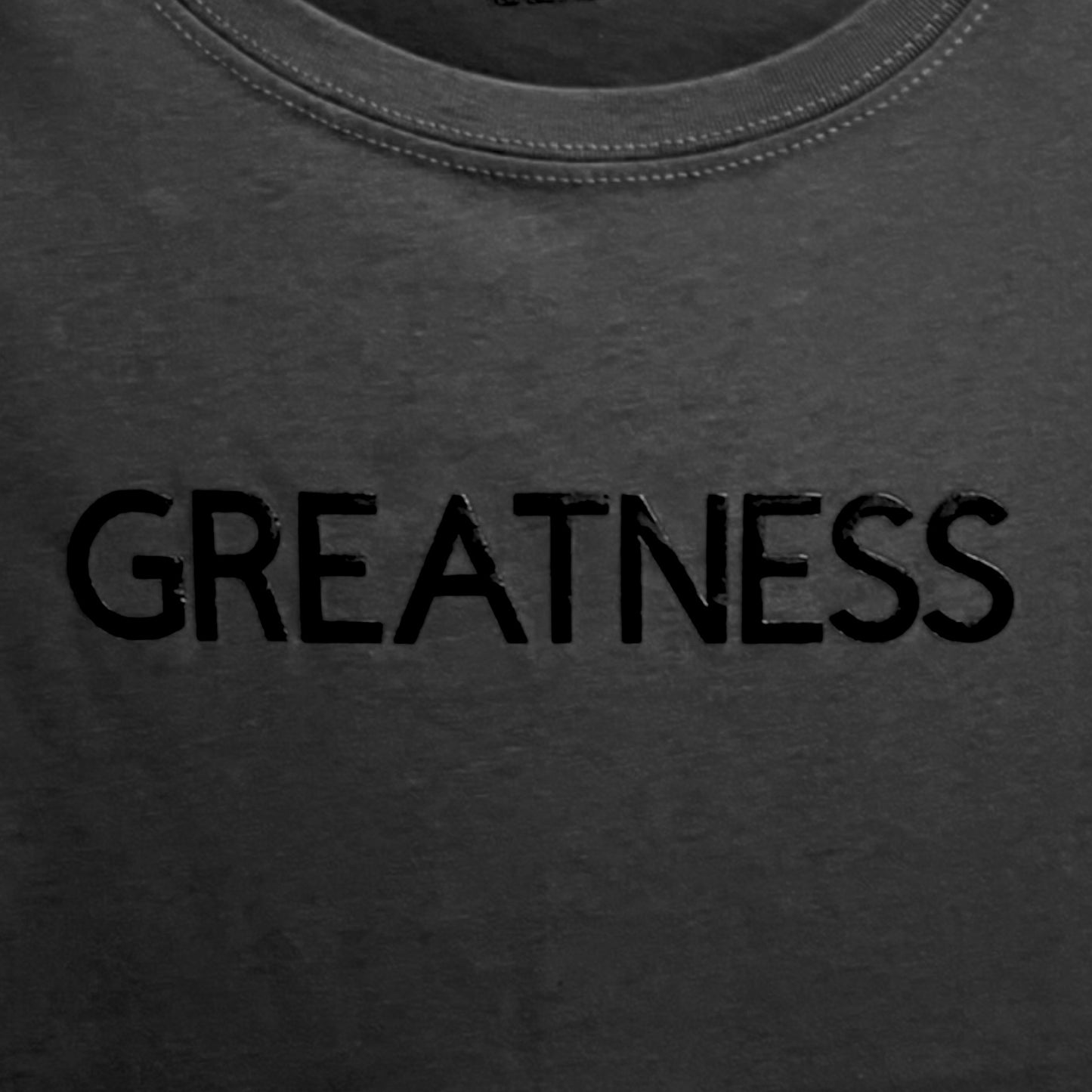 “GREATNESS” Unisex T-shirt/Hoodie (Available in Multiple colors)